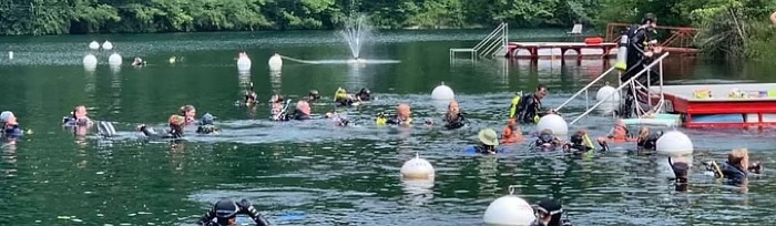 Divers in the water at Mermet Springs