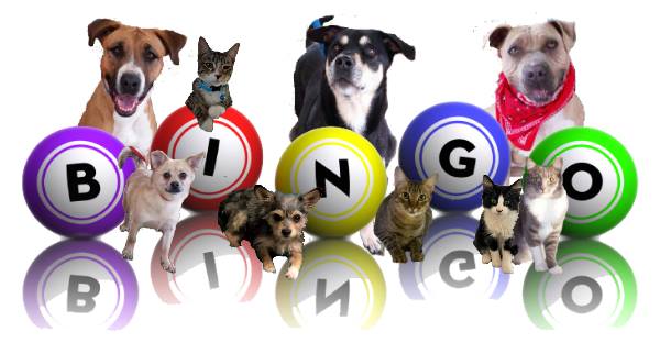 Project Hope’s Christmas in July Bingo